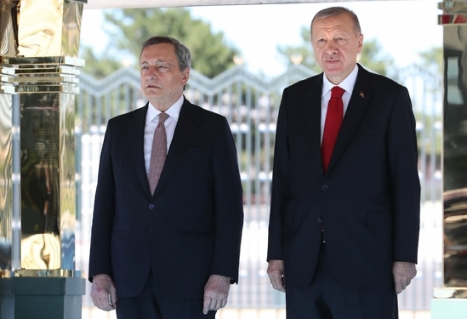 Türkiye, Italy to deepen cooperation in defense industry: Turkish president