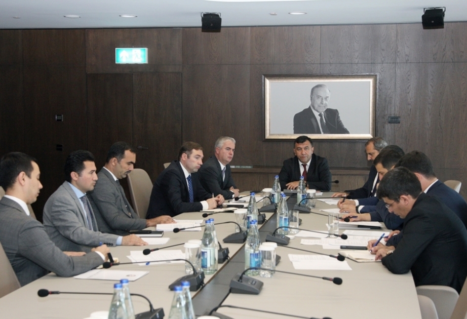 Se celebra la reunión del Consejo de Supervisión de la Agencia de Desarrollo de Zonas Económicas