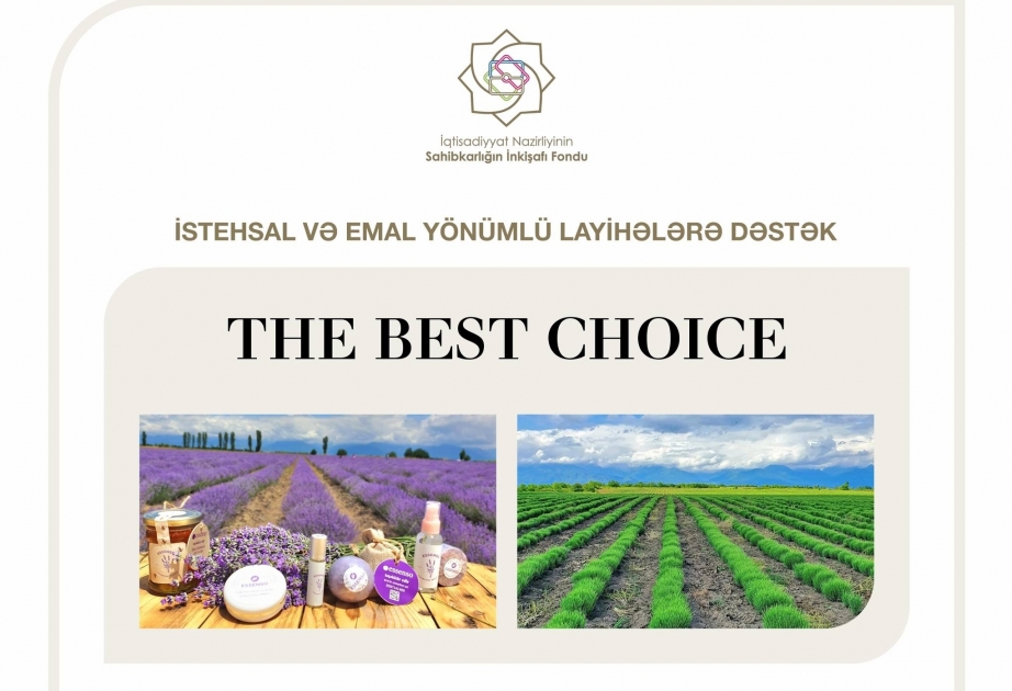 Mikayil Jabbarov: Concessional loan in amount of 130,000 manats allocated to "The Best Choice" LLC