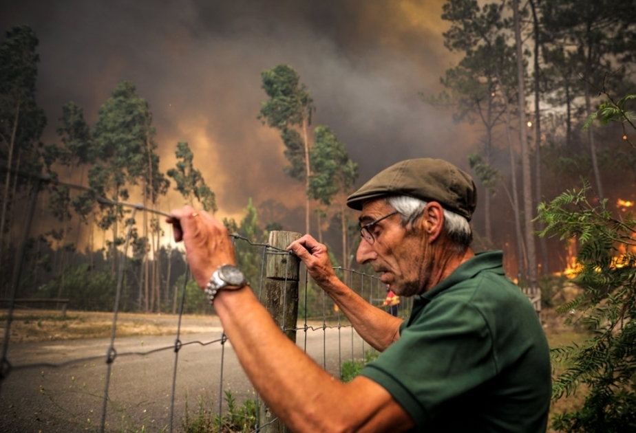 Hitzewelle sorgt für Waldbrände in Portugal VIDEO