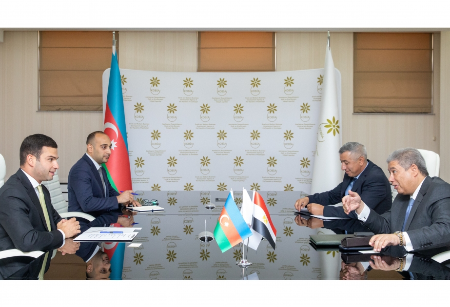 Обсуждены вопросы исполнения совместных проектов между Азербайджаном и Египтом