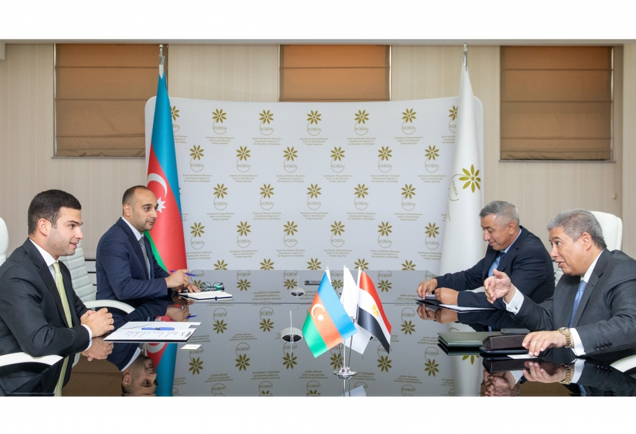 讨论阿塞拜疆和埃及实施联合项目的问题