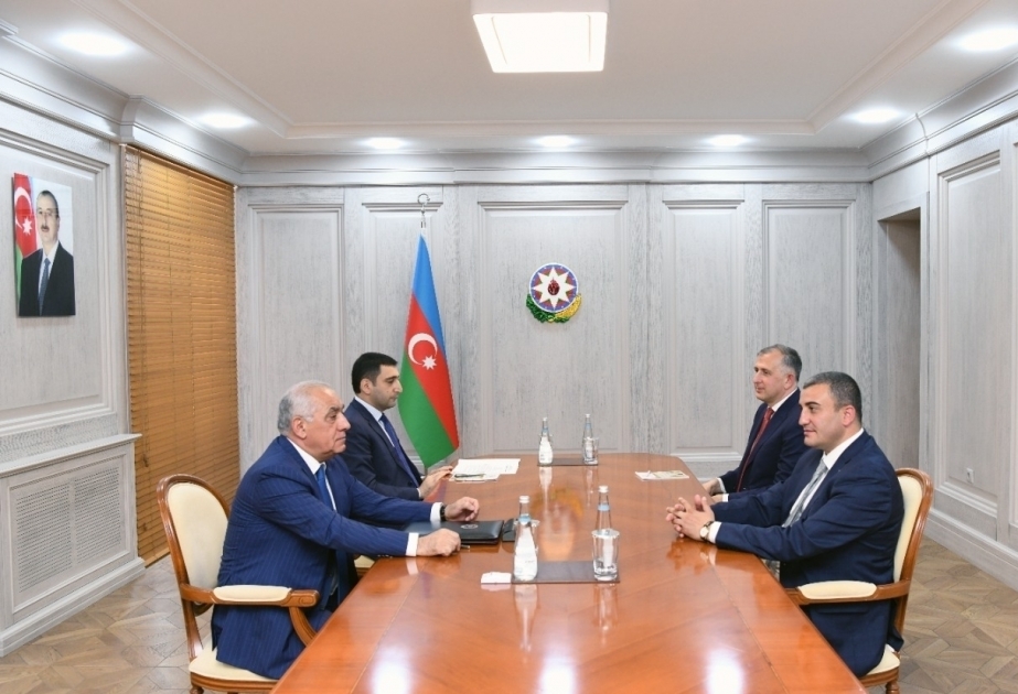 阿里·阿萨多夫总理会见格鲁吉亚克维莫·卡尔特利州州长