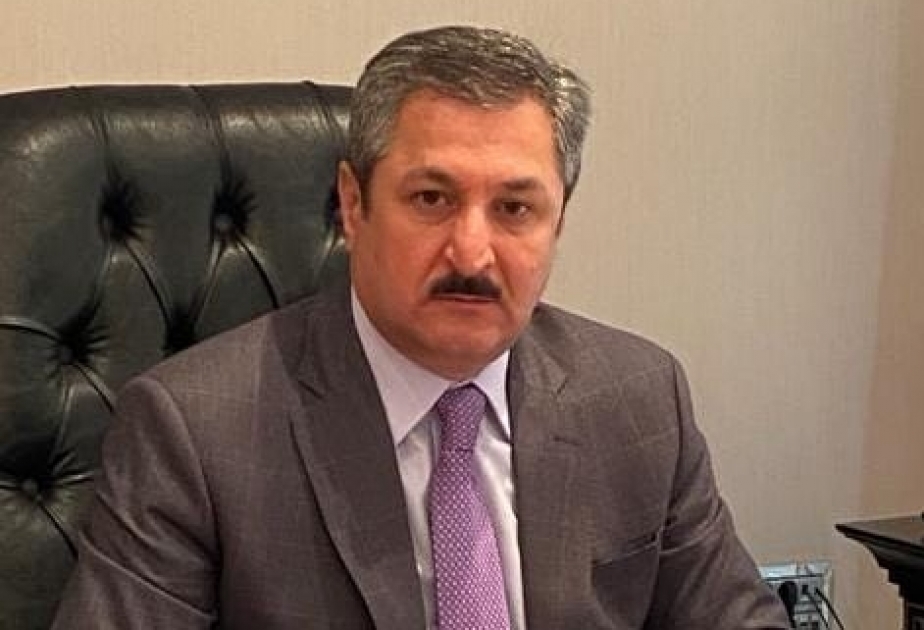 Malik Həsənov: Azərbaycanın uğurları düzgün qurulan və gələcəyə hesablanan siyasətin nəticəsidir