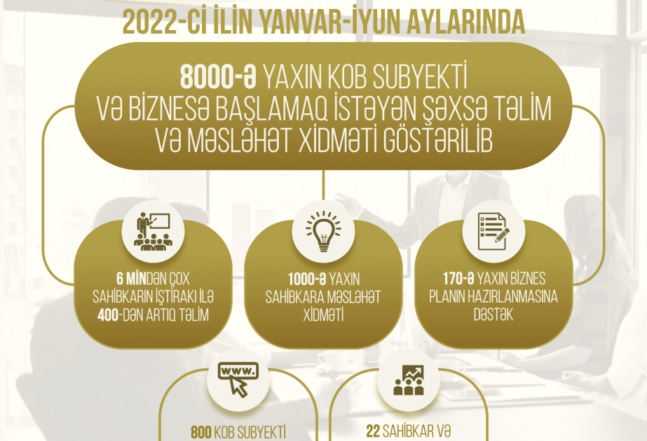 Səkkiz minədək KOB subyekti və biznesə başlamaq istəyənlərə təlim və məsləhət xidməti göstərilib
