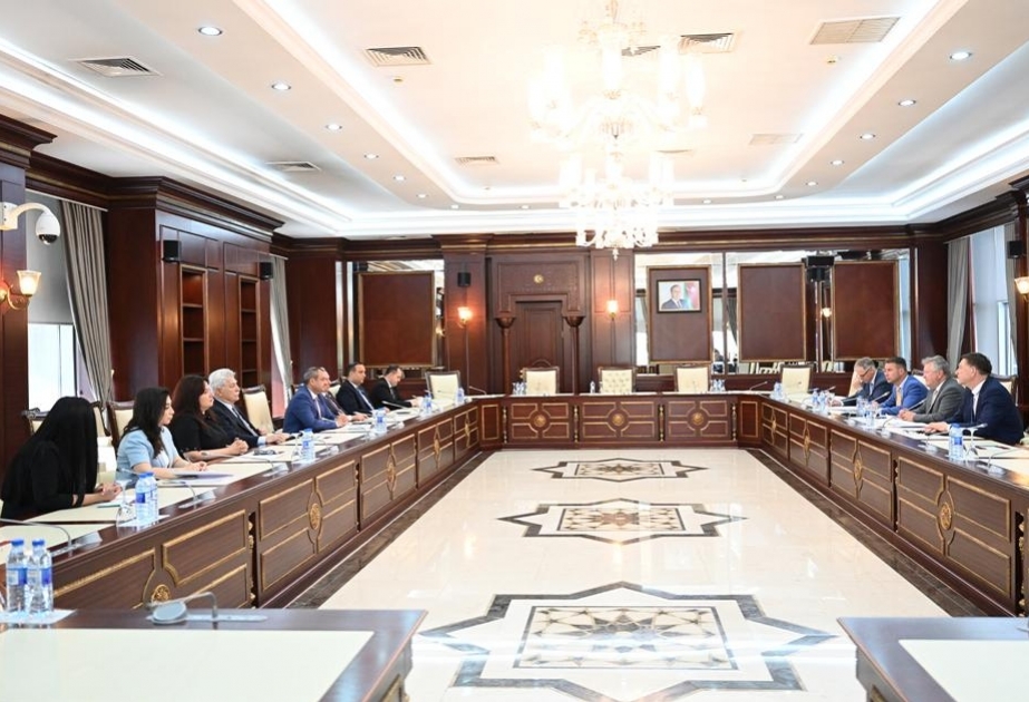 Kazis Strakeviçyus: Azərbaycan vacib enerji tədarükçüsüdür