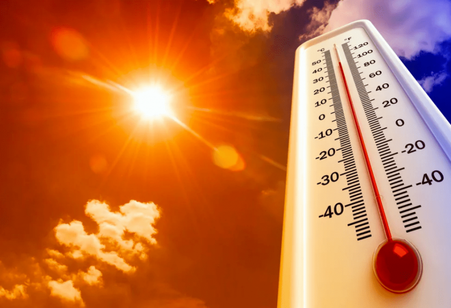 За два дня из-за жары в Испании скончались 43 человека