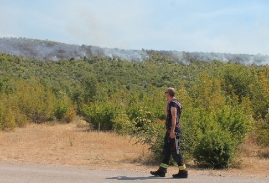 В Боснии и Герцеговине идет борьба с лесными пожарами