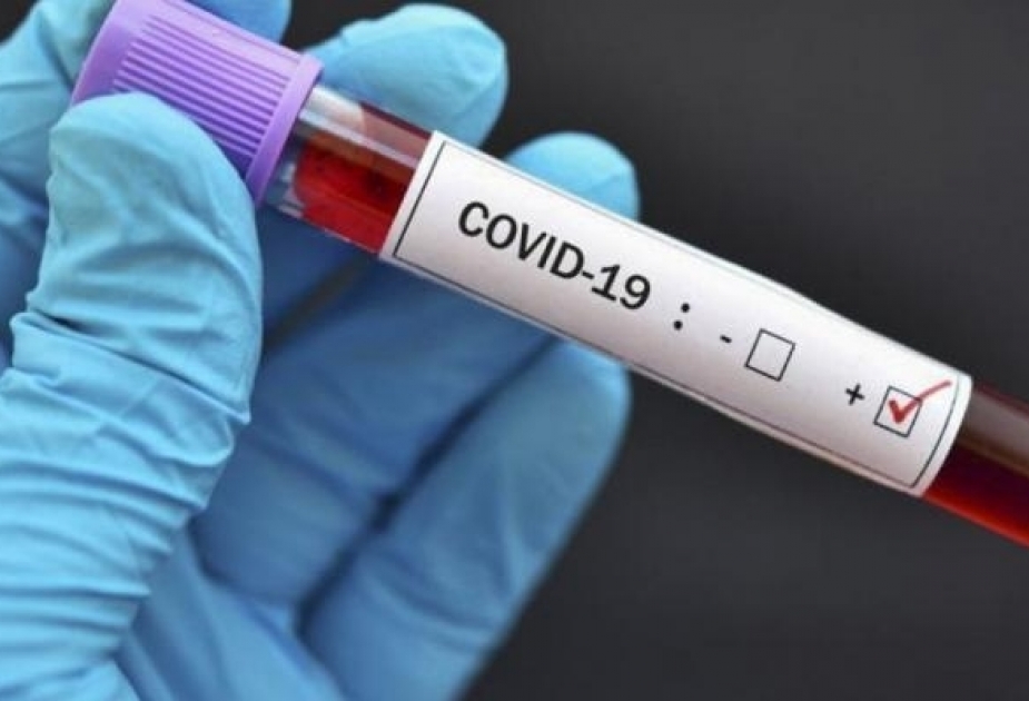 Количество проведенных тестов для выявления случаев заражения COVID-19 превысило 7 миллионов