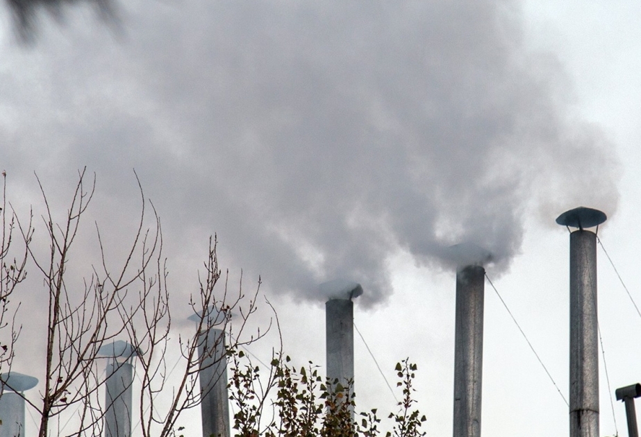 Bir sıra ictimai-iaşə obyektlərində atmosferin kanserogen maddələrlə çirkləndirilməsi faktı aşkarlanıb