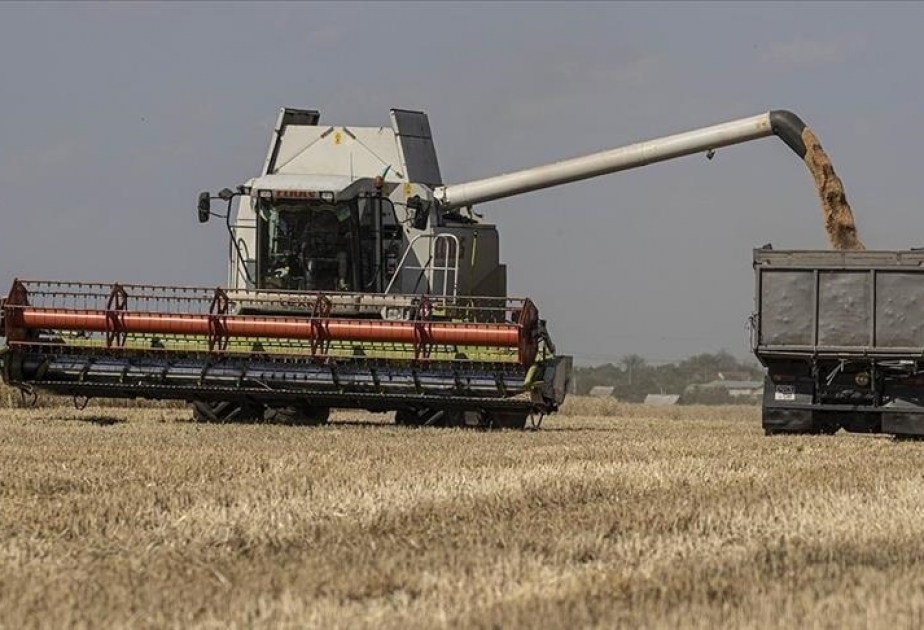 La UE espera desbloquear las exportaciones de granos ucranianos en negociaciones lideradas por Türkiye