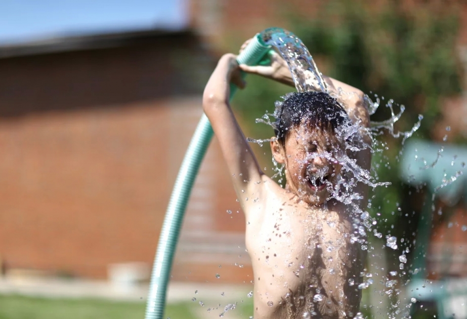 Heatwave kills 510 people in Spain
