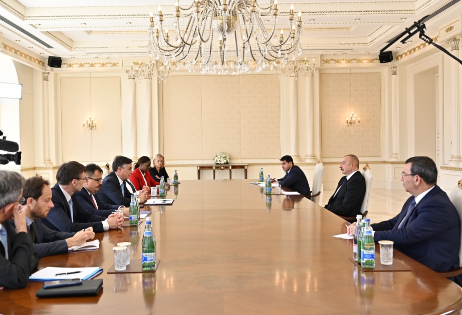 Le président azerbaïdjanais reçoit une délégation menée par le président de la Commission des affaires étrangères du Parlement européen VIDEO