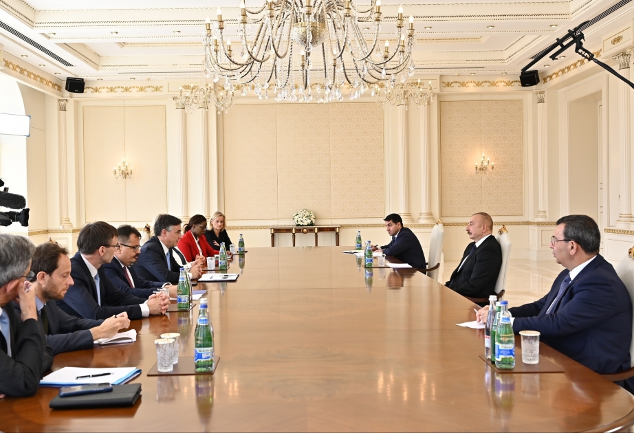 伊利哈姆·阿利耶夫总统接见欧洲议会外交事务委员会主席率领的代表团