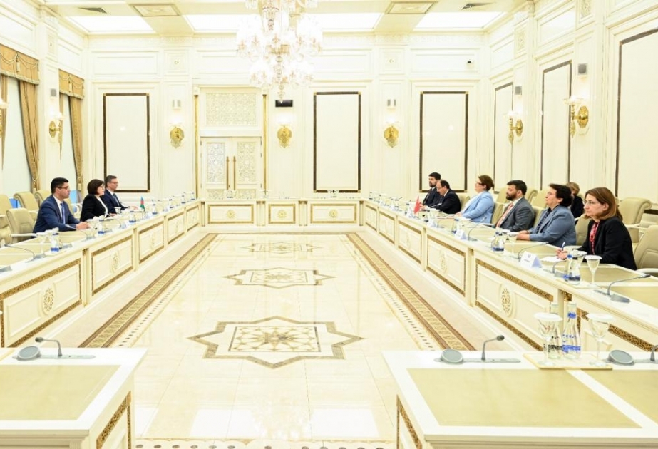 Milli Məclisin sədri Sahibə Qafarova Türkiyə Respublikasının ailə və sosial xidmətlər naziri ilə görüşüb