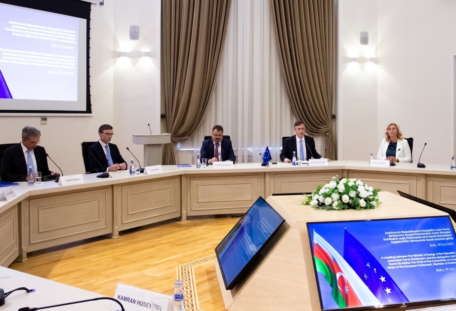 Azerbaijan`s Energy Minister meets with chair of European Parliament’s Committee on Foreign Affairs