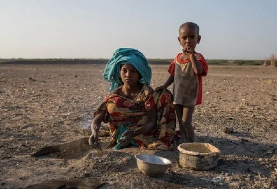 ЮНИСЕФ предупреждает о разрушительных последствиях засухи в Эфиопии
