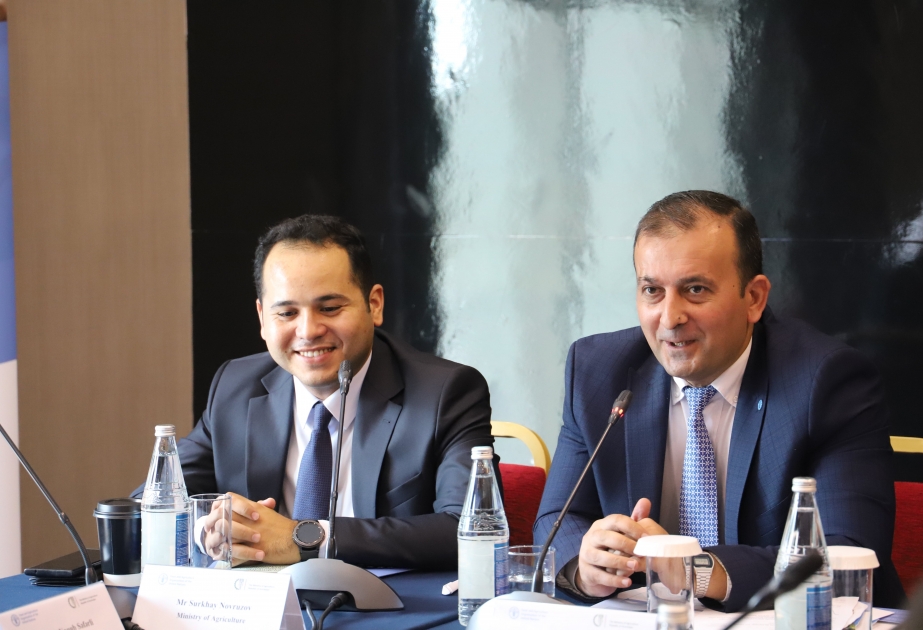 FAO: There are fertile conditions for obtaining bioenergy from hazelnut residues in Azerbaijan