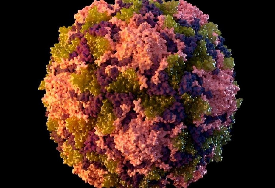 Gefährliches Virus in den USA