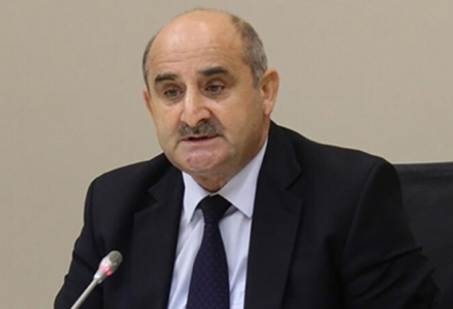 Çingiz Qənizadə: Qarabağa Böyük Qayıdış 30 illik yurd həsrətinə son qoydu