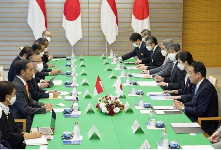 Kishida, Joko confirm cooperation on Nov. G20 summit