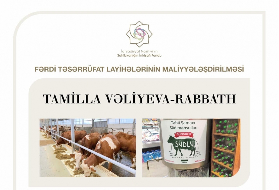İndiyədək Sahibkarlığın İnkişafı Fondu 41 mindən çox layihə maliyyələşdirib