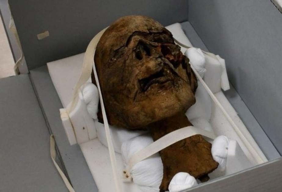 В Британии на чердаке нашли голову 2000-летней мумии