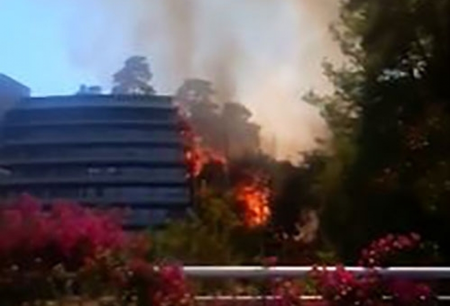 Türkei: Waldbrand am Urlaubsort Marmaris