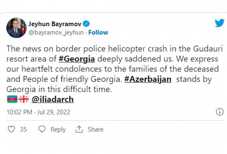 Azərbaycanın xarici işlər naziri Gürcüstanda helikopter qəzası nəticəsində insan tələfatı ilə əlaqədar gürcü həmkarına başsağlığı verib