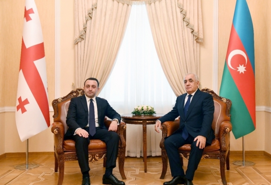 阿塞拜疆总理向格鲁吉亚同仁表示慰问