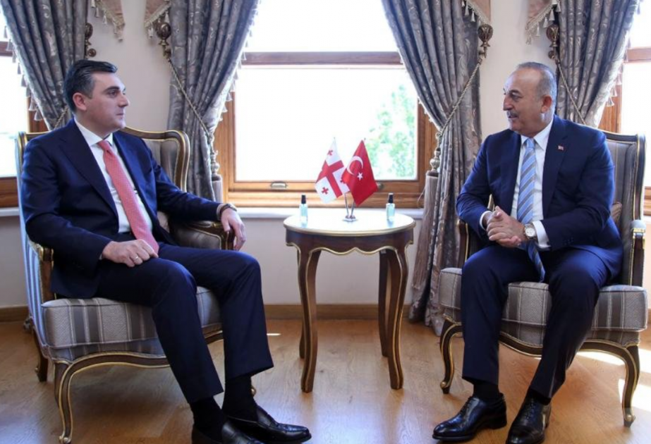 土耳其与格鲁吉亚两国外长在伊斯坦布尔举行会晤