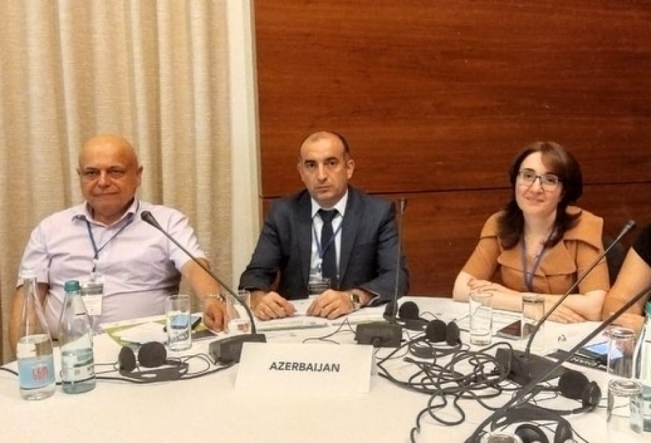 Gürcüstanda vərəm və İİV infeksiyası ilə bağlı fikir mübadiləsi aparılıb