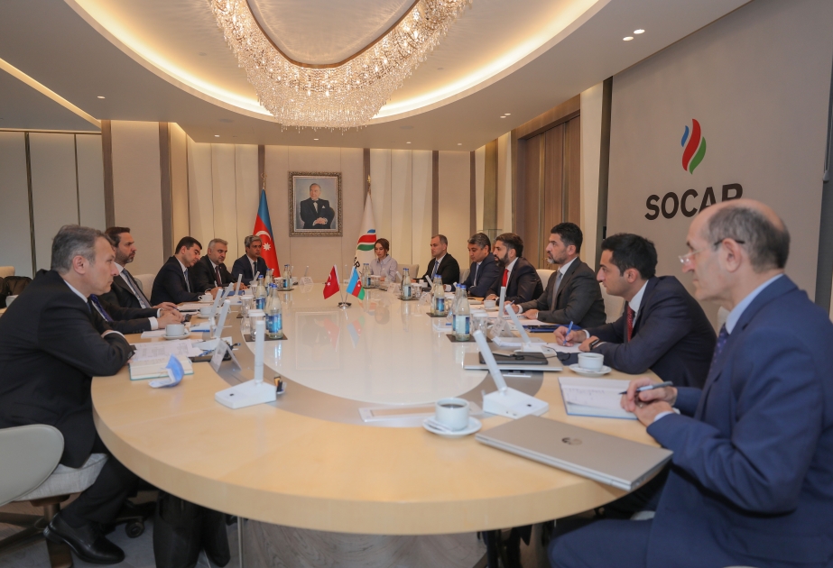 SOCAR-ın prezidenti Türkiyənin energetika və təbii sərvətlər nazirinin müavini ilə görüşüb