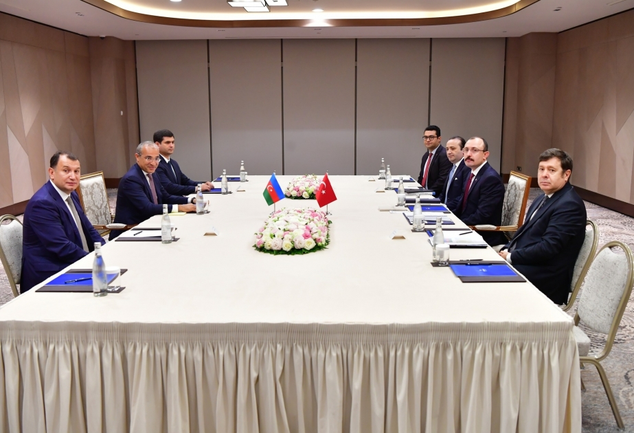 Министр экономики Азербайджана встретился с министром торговли Турции Мехметом Мушем