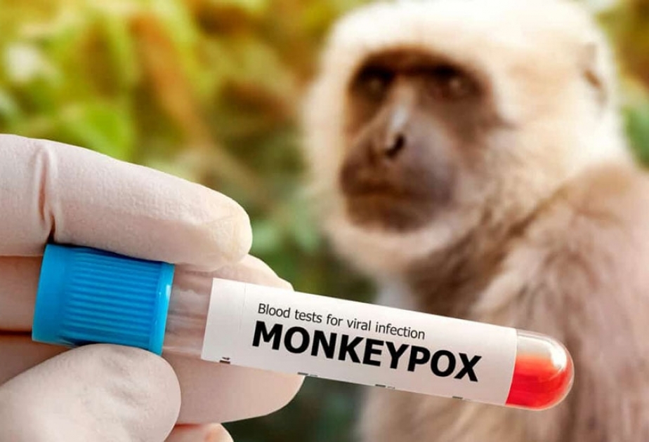 ВОЗ: опасения по поводу оспы обезьян усилились после того, как она стала болезнью «глобального Севера»