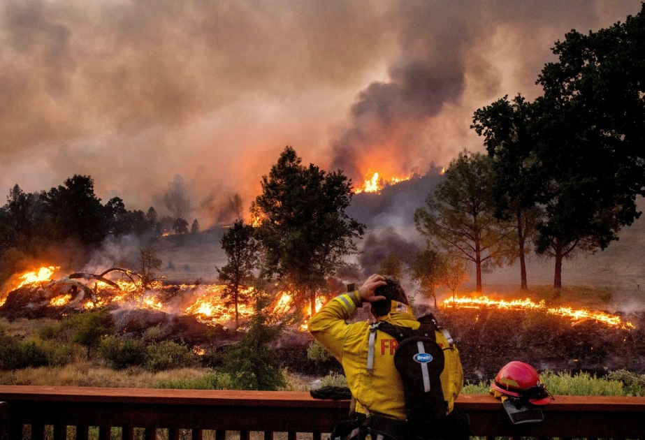 In Nordkalifornien kämpfen mehr als 1300 Feuerwehrleute gegen Flammen