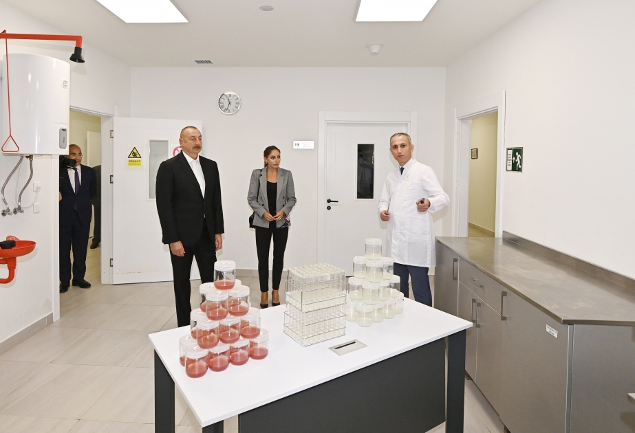 Президент Ильхам Алиев и первая леди Мехрибан Алиева ознакомились с предприятием ООО Grand-Agro İnvitro, приняли участие в открытии перерабатывающего завода ООО «Азбадам» ВИДЕО