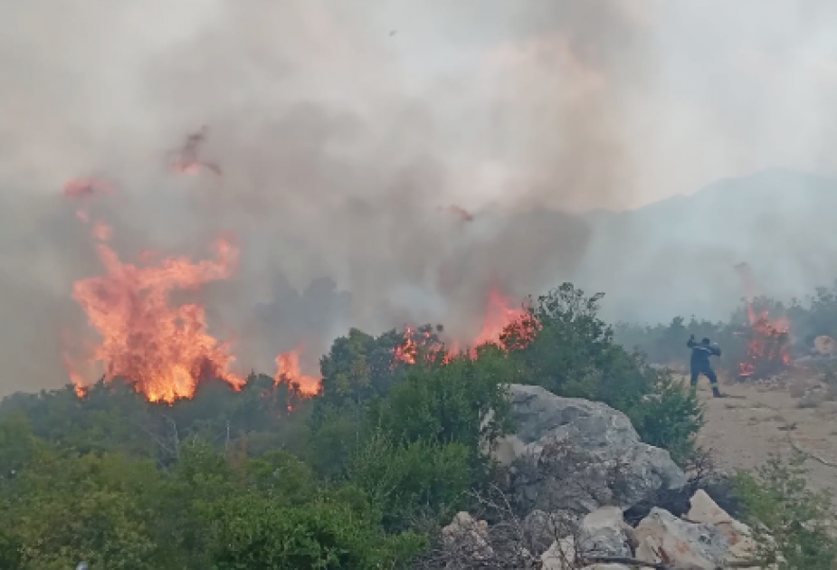 В городе Неум Боснии и Герцеговины вспыхнул лесной пожар
