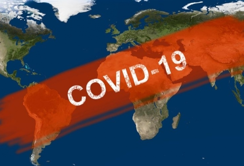 OMS: “Los casos de coronavirus han disminuido un 9%”