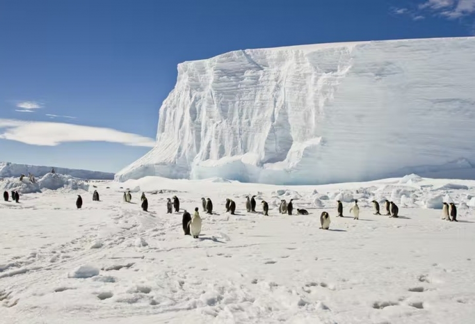 Самый большой в мире ледниковый щит может растаять