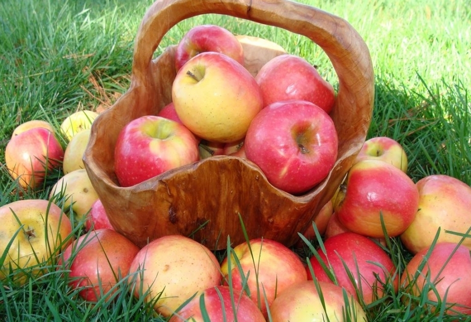 Las manzanas mejoran la protección de las enfermedades coronariasiəni gücləndirir