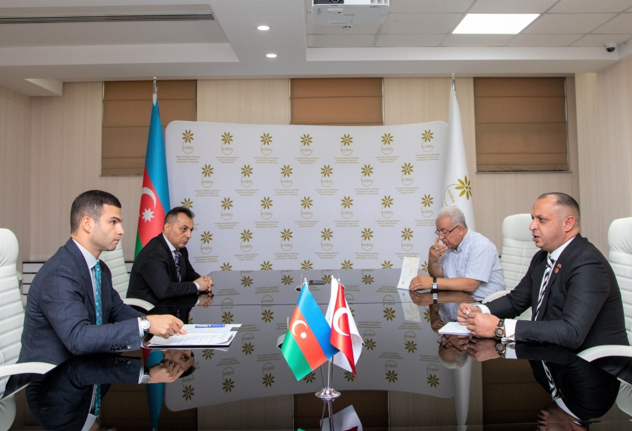 Azerbaijan, Turkiye discuss prospects for cooperation