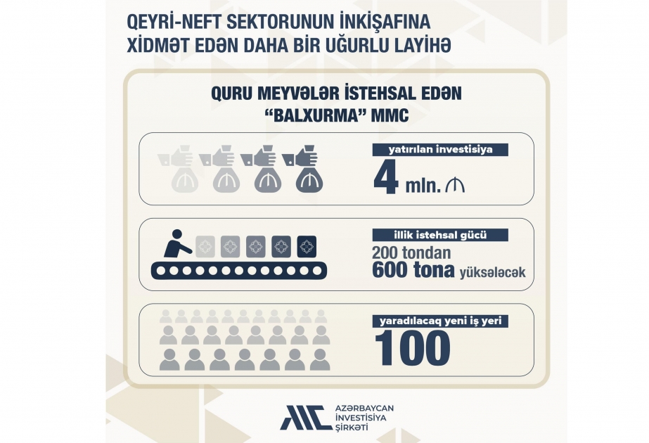Azerbaijan Investment Company to invest in plant engaged in production of dry fruits