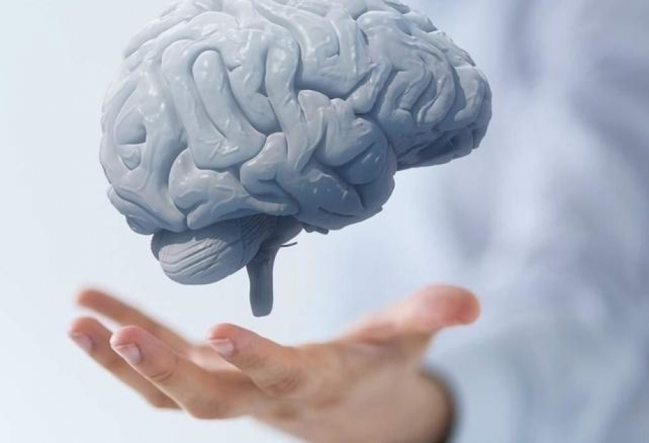 La OMS pide más investigación para optimizar la salud del cerebro