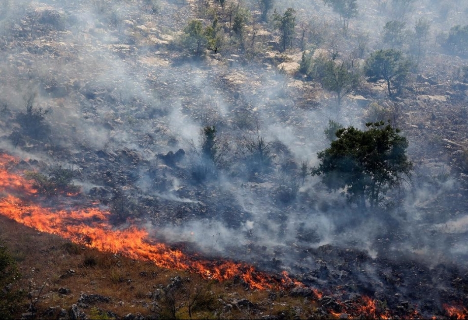 Polizei von Montenegro 19-Jährigen festgenommen, der zehn Waldbrände gelegt haben soll