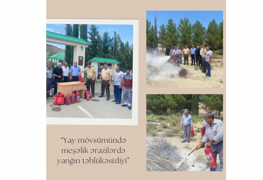 “Yay mövsümündə meşəlik ərazilərdə yanğın təhlükəsizliyi” mövzusunda təlimlər davam edir