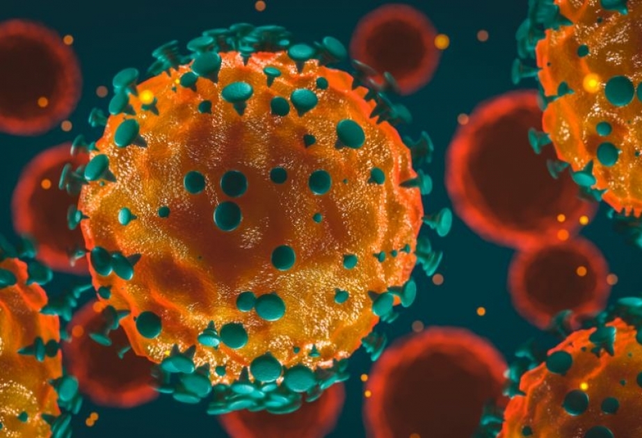 Coronavirus in Aserbaidschan: 520 neue Fälle, 518 Geheilte
