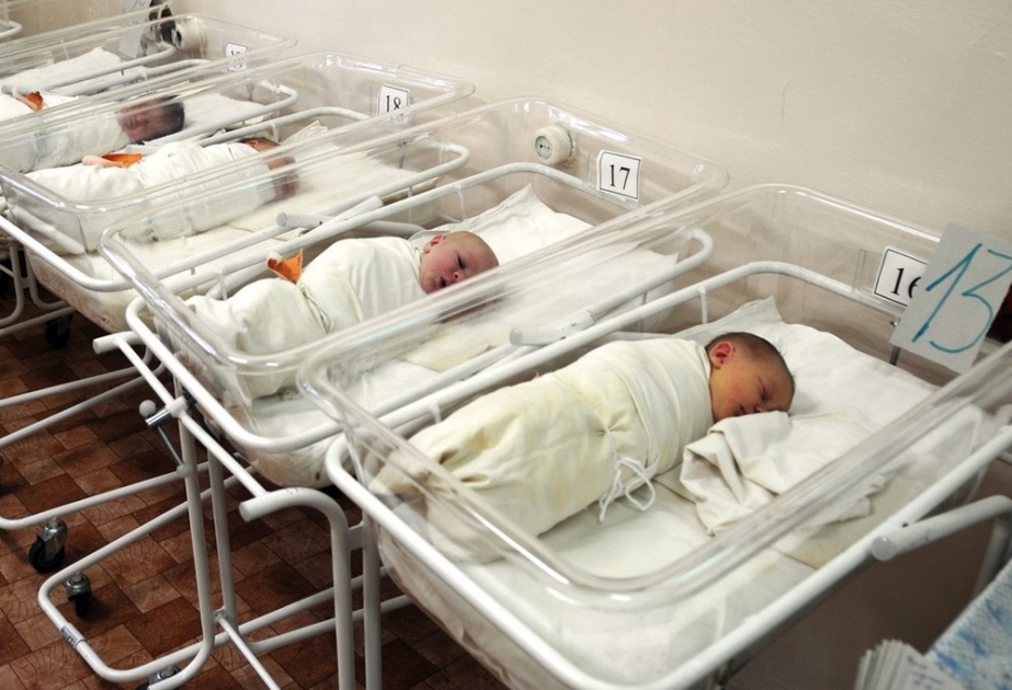 Новорожденная пятерня помещена в Научно-исследовательский институт педиатрии имени К.Фараджевой