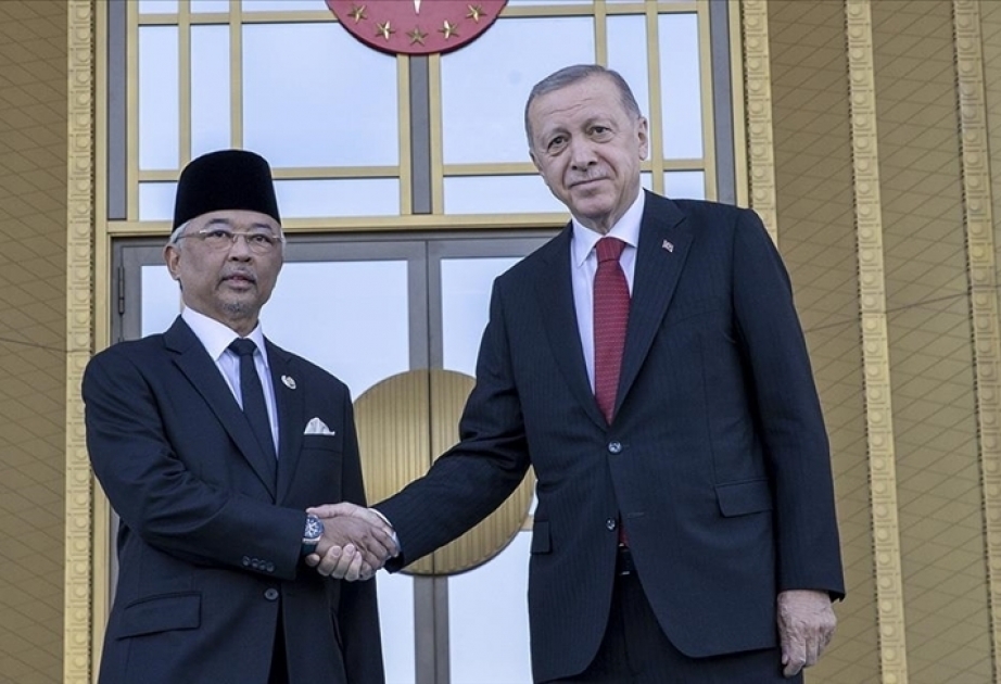 Turkish president, Malaysia's king meet in Ankara for talks