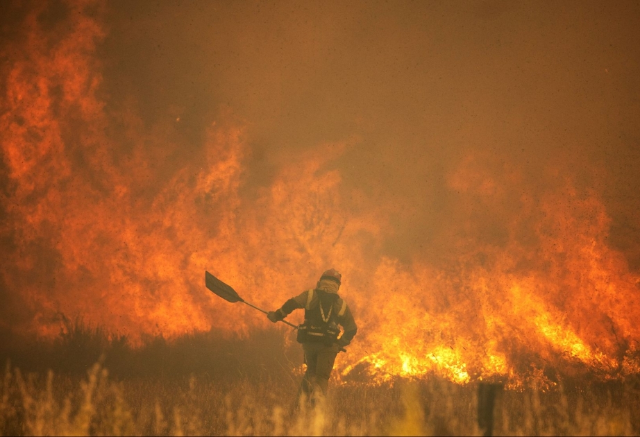 Incendio forestal arrasa más de 10 mil hectáreas en España